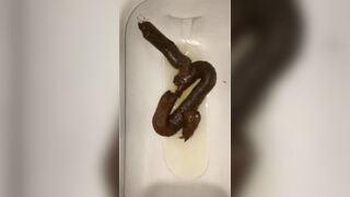 ScatKings.com Scat Porn