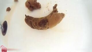 ScatKings.com Scat Porn