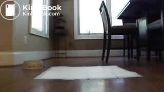 ScatKings.com Scat Porn