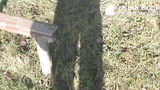 ScatKings.com Scat Porn
