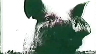 ScatKings.com Scat Porn